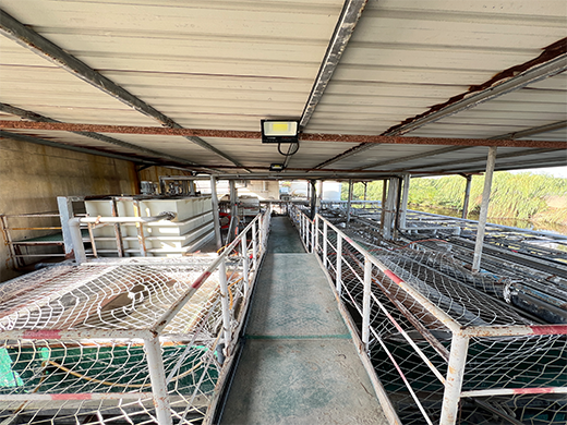 陽(yáng)極廠污水處理